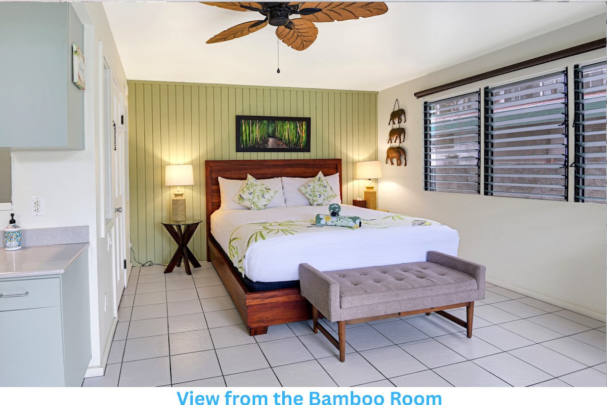 Big Island Retreat thumbnail 2