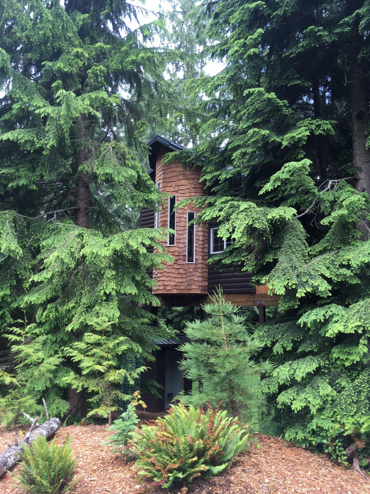 Frog Creek Lodge thumbnail 2