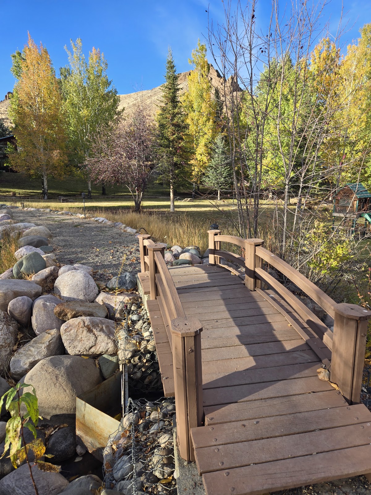 Living Waters Ranch