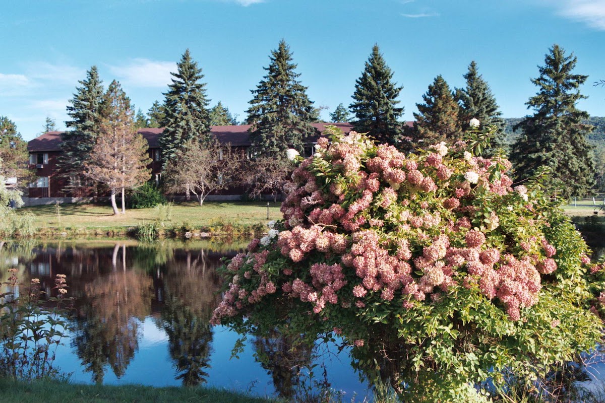 Peace Village Learning & Retreat Center thumbnail 2