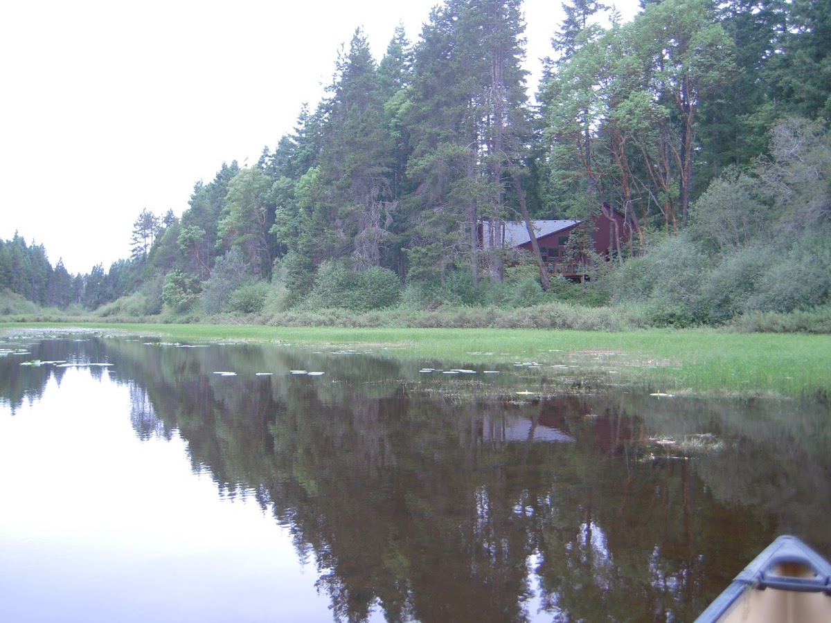 Pilgrim Firs Camp & Retreat Center