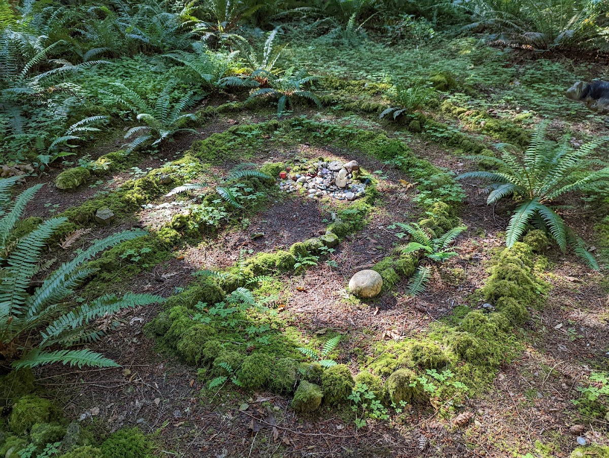 Sacred Groves