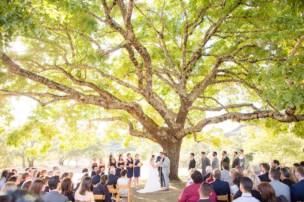 SSS Ranch Napa thumbnail 3